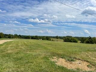 245 Simpson Ridge Road Williamstown, KY 41097 - Photo 2 of 6
