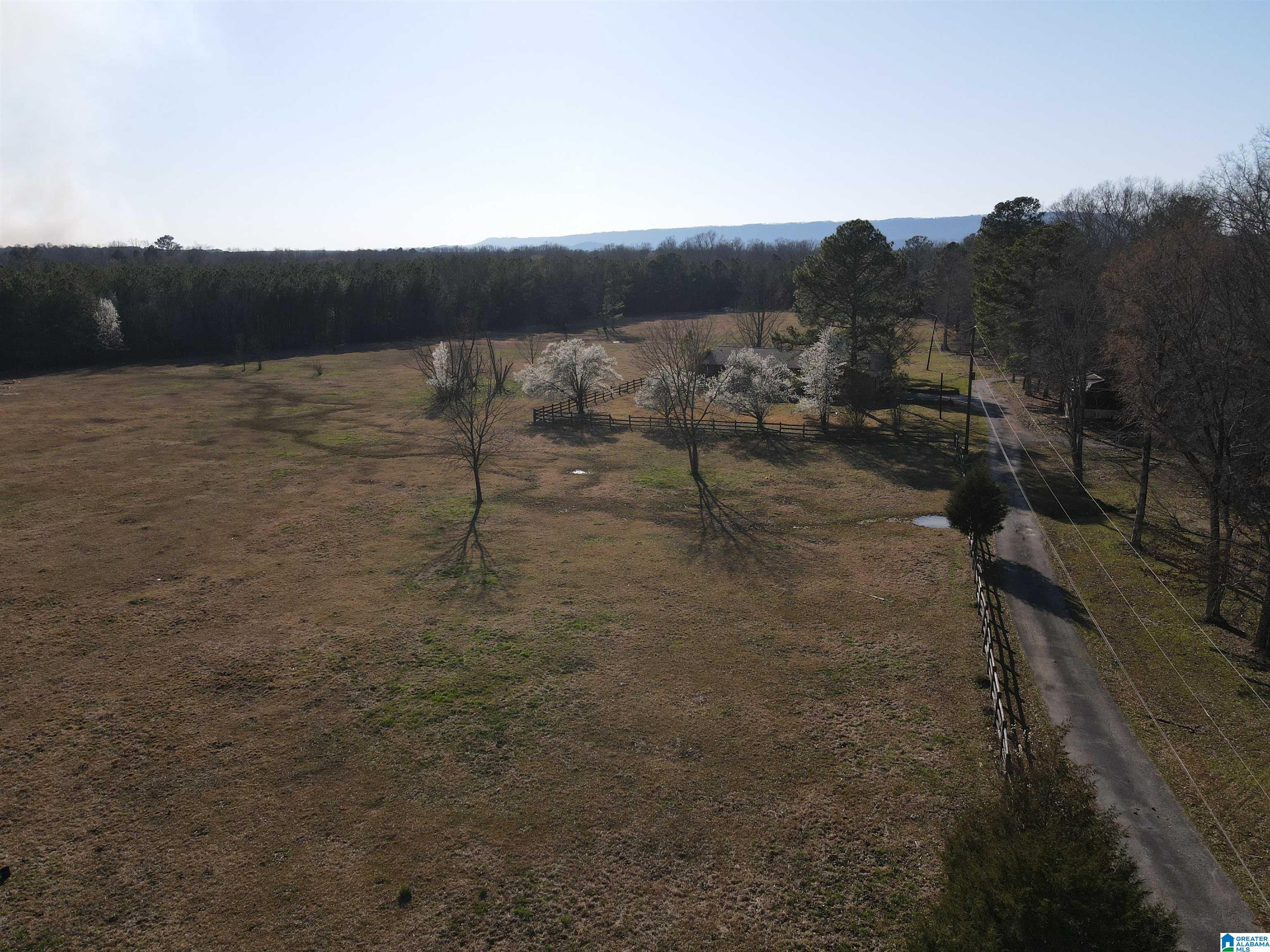 1016 Wesson Lake Road Attalla, AL 35954 - Photo 30 of 38 Gallery Image 30