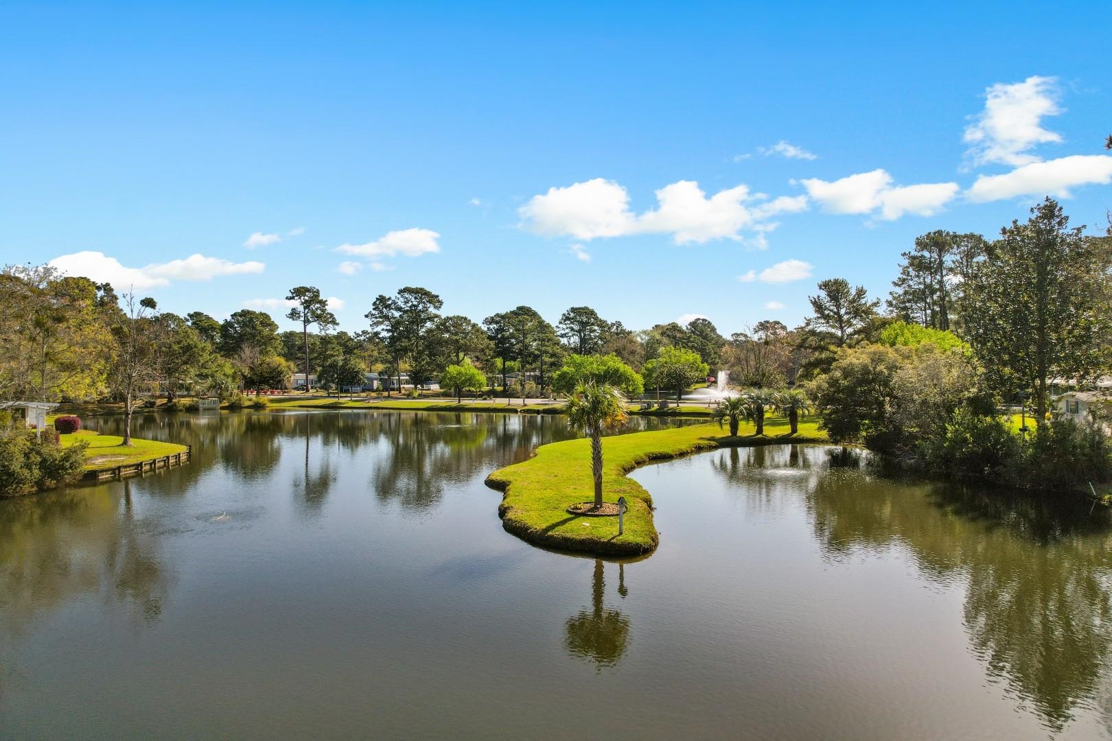846 Blue Ridge Trail Murrells Inlet, SC 29576 - Photo 38 of 38