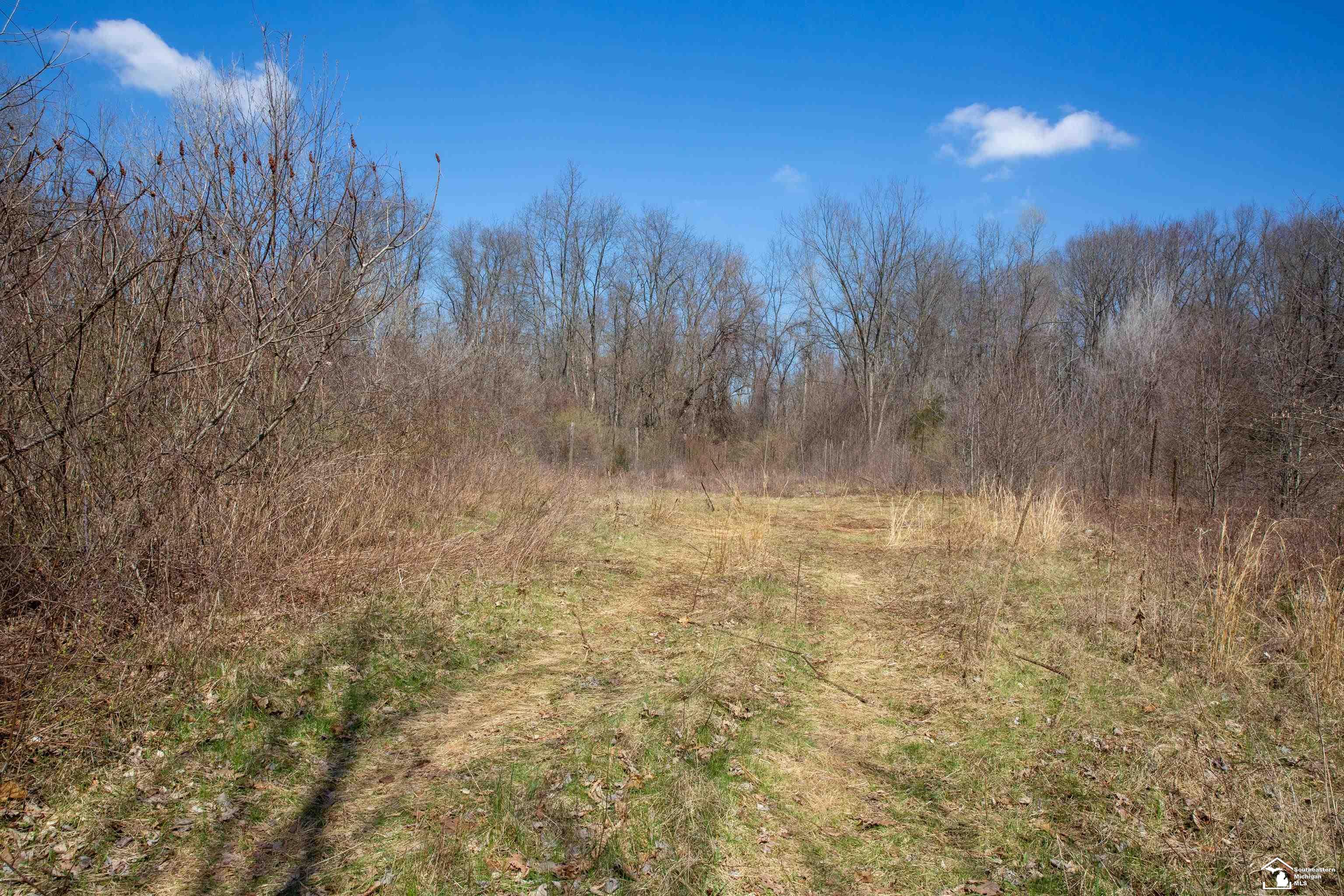 47106 Wear Road Belleville, MI 48111 - Photo 21 of 29 Gallery Image 21