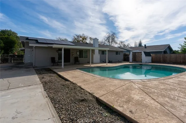 a view of backyard with potted plants and a palm tree
