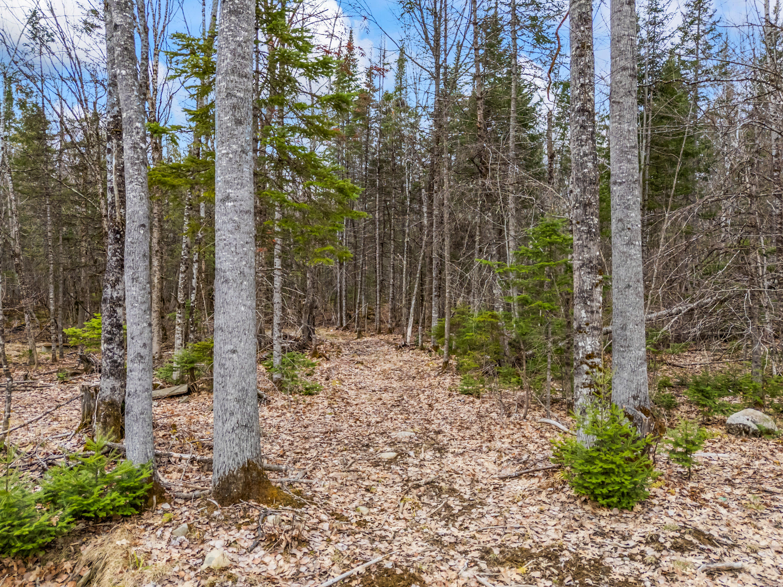 162 Carrabassett Road Anson, ME 04958 - Photo 27 of 29