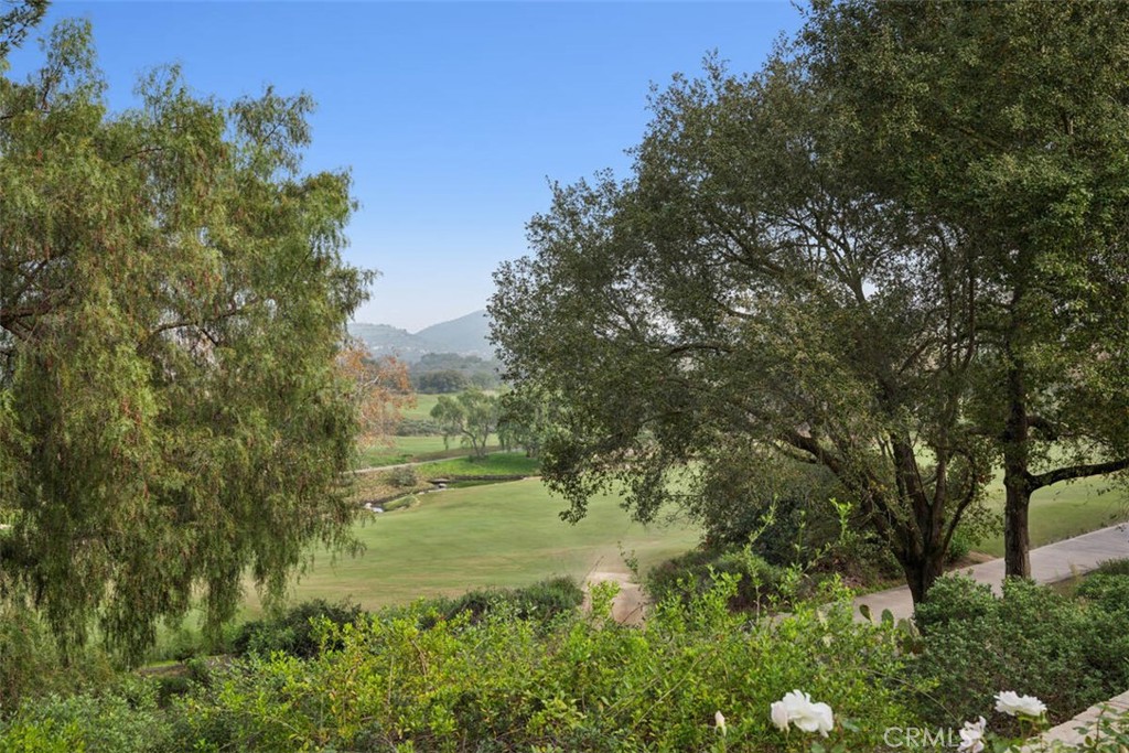 25 Wild Hawk Irvine, CA 92603 - Photo 5 of 42