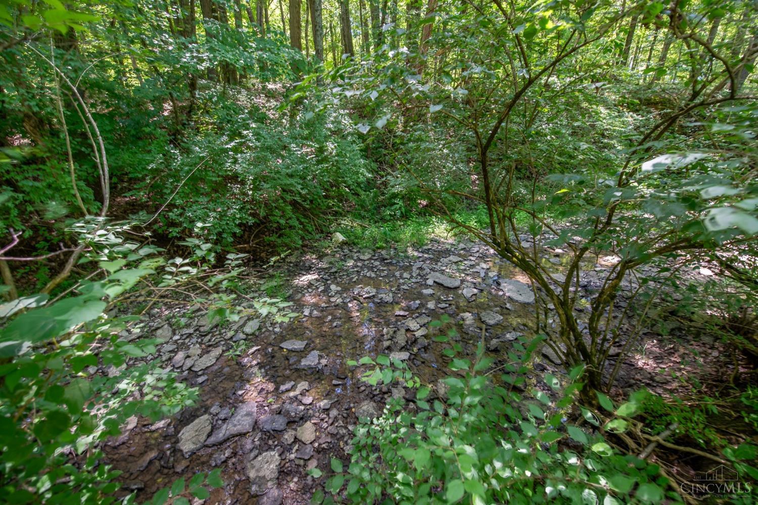 8950 Schlottman Road Maineville, OH 45039 - Photo 32 of 61 Peaceful, Babbling Creek Runs Through Property.