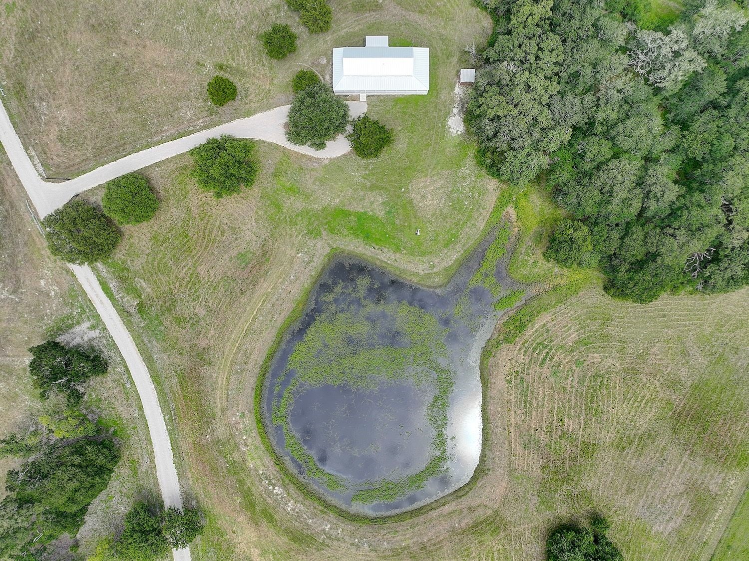 1928 Koether Road Carmine, TX 78932 - Photo 48 of 49 Aerial of the Guest home and pond with the Druid Forest next door filled with wildlife