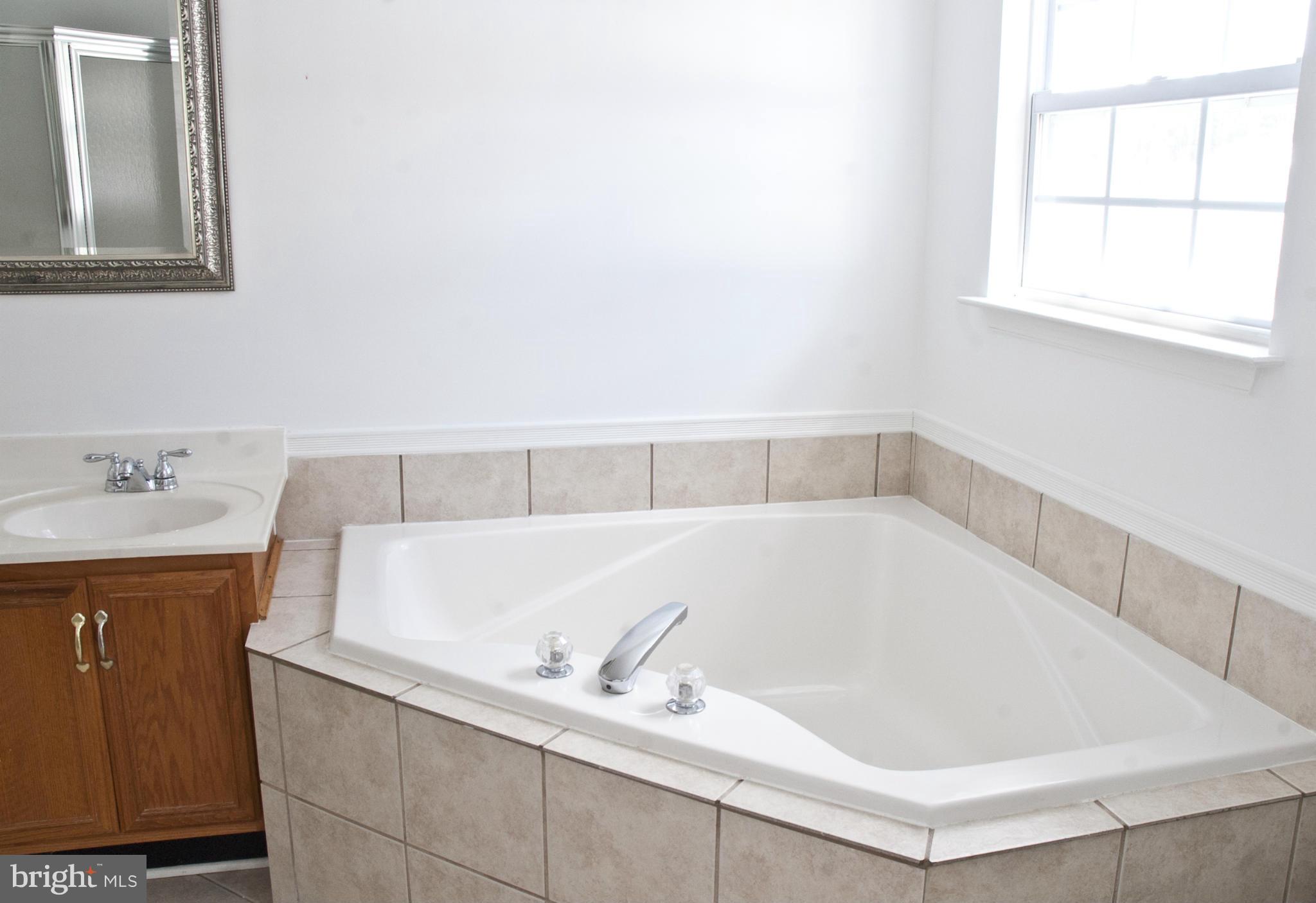 6111 Pine Ridge Terrace Frederick, MD 21701 - Photo 14 of 18 Bath (Master)
