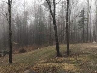 485 Shedd Hill Road Stoddard, NH 03464 - Photo 15 of 17