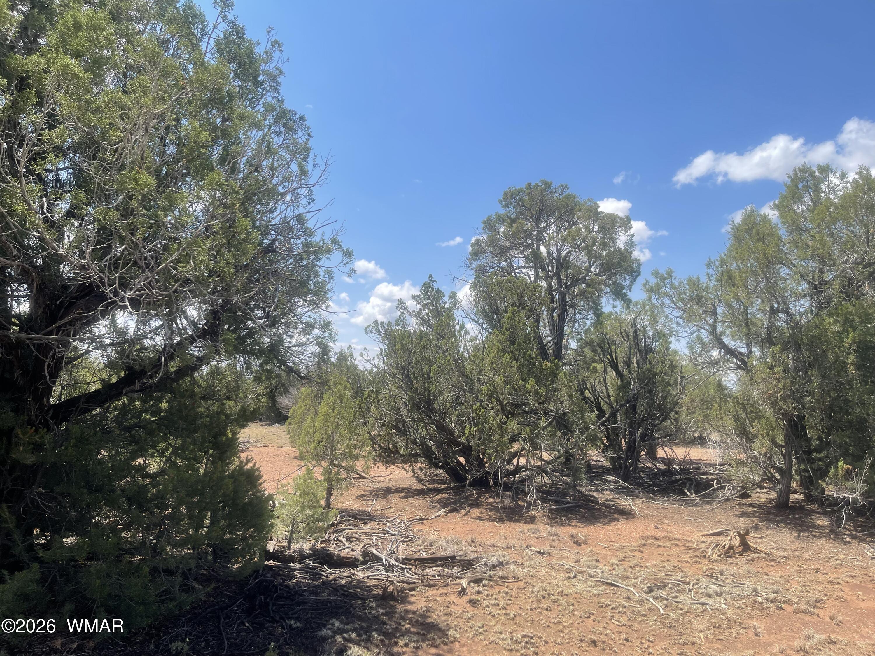 4934 Elk Trail Road Clay Springs, AZ 85923 - Photo 20 of 21 Gallery Image 20