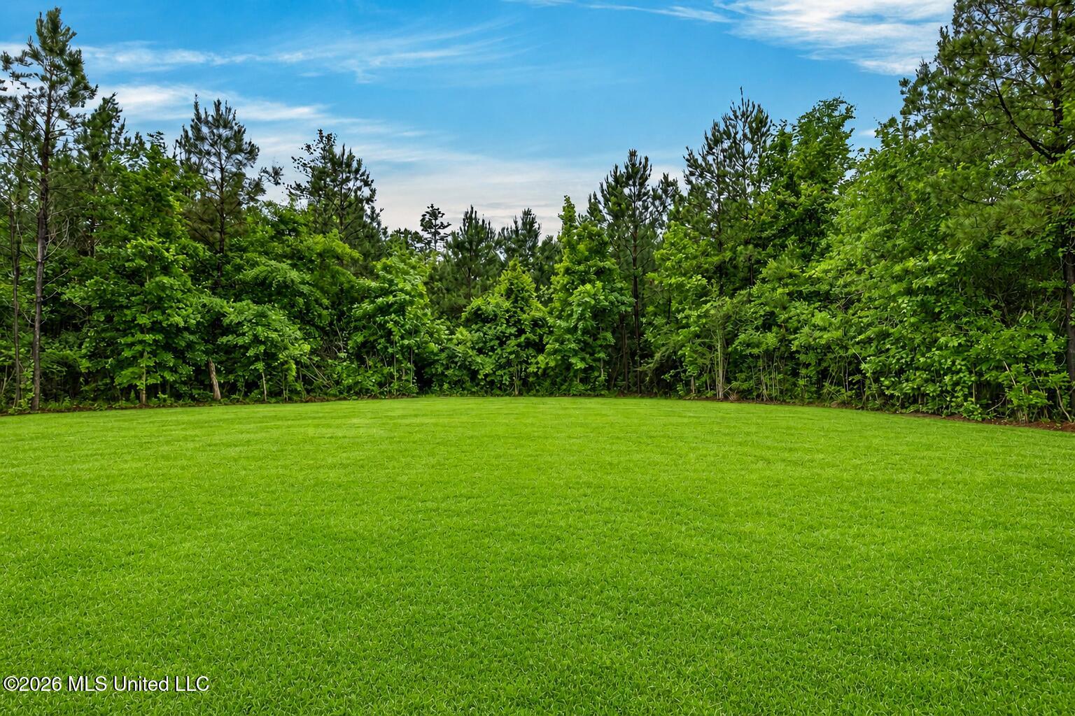 49 Whistlestop Sumrall, MS 39482 - Photo 63 of 73 49Whistlestop-2