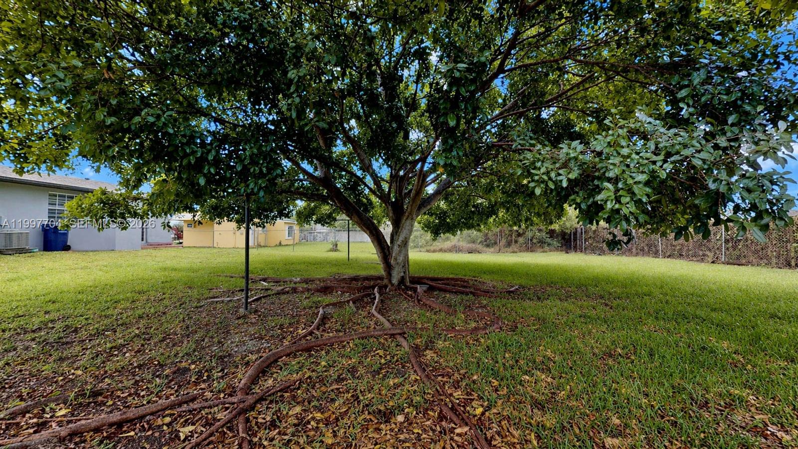 21450 Southwest 109th Court Miami, FL 33170 - Photo 27 of 43 a backyard of a house with lots of green space