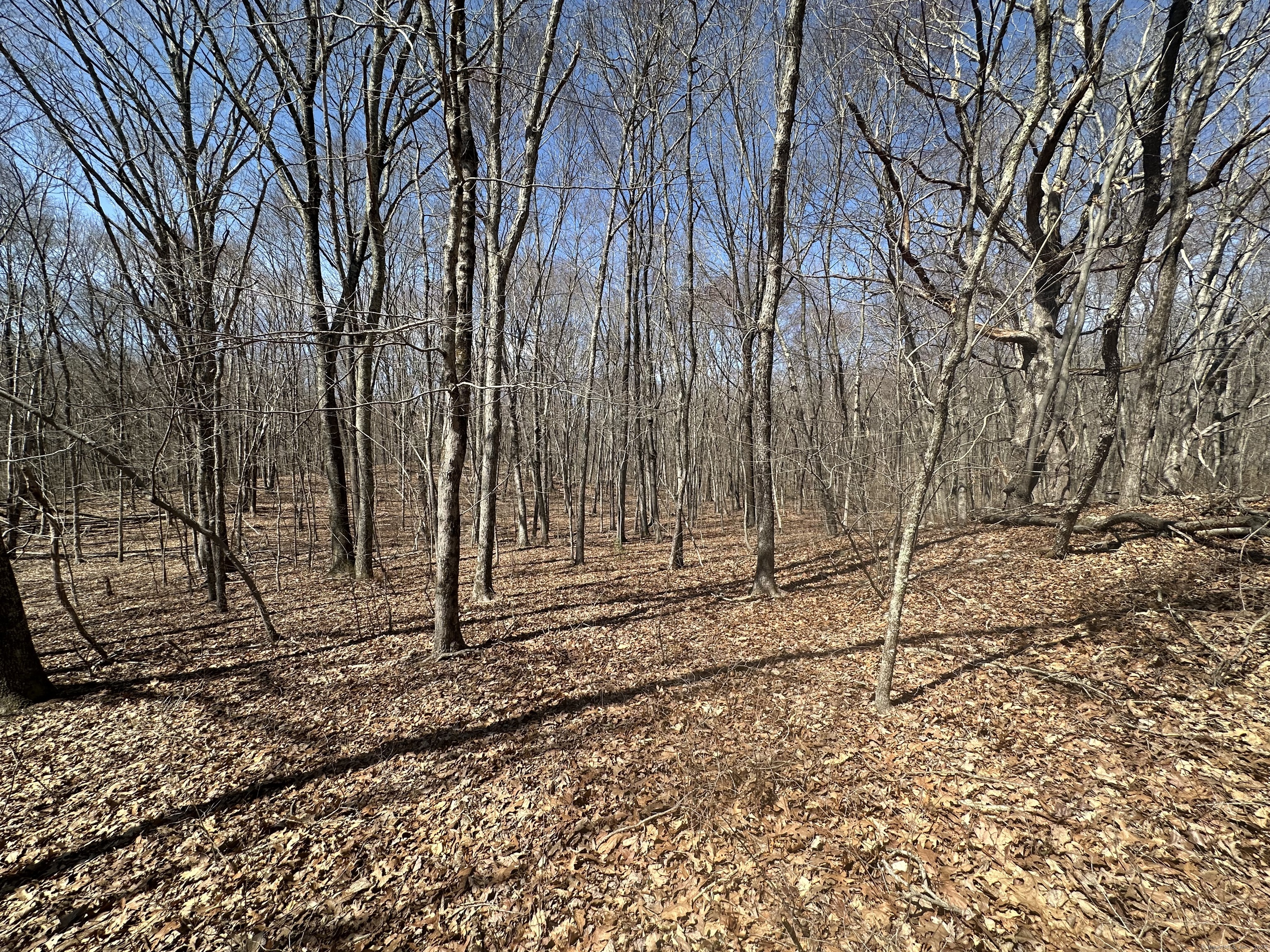 0 Cowles Road Woodbury, CT 06798 - Photo 2 of 12