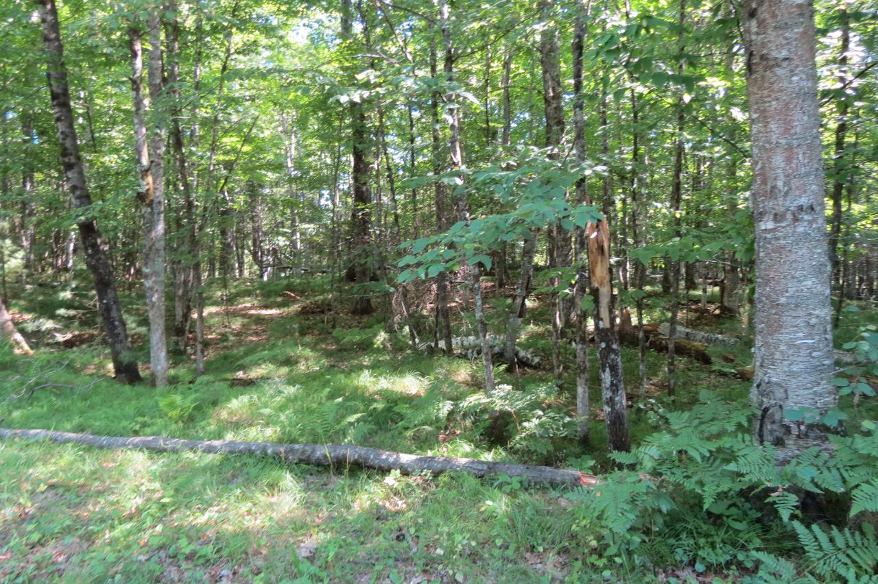 On Kein Road Mercer, WI 54547 - Photo 11 of 14 Gallery Image 11