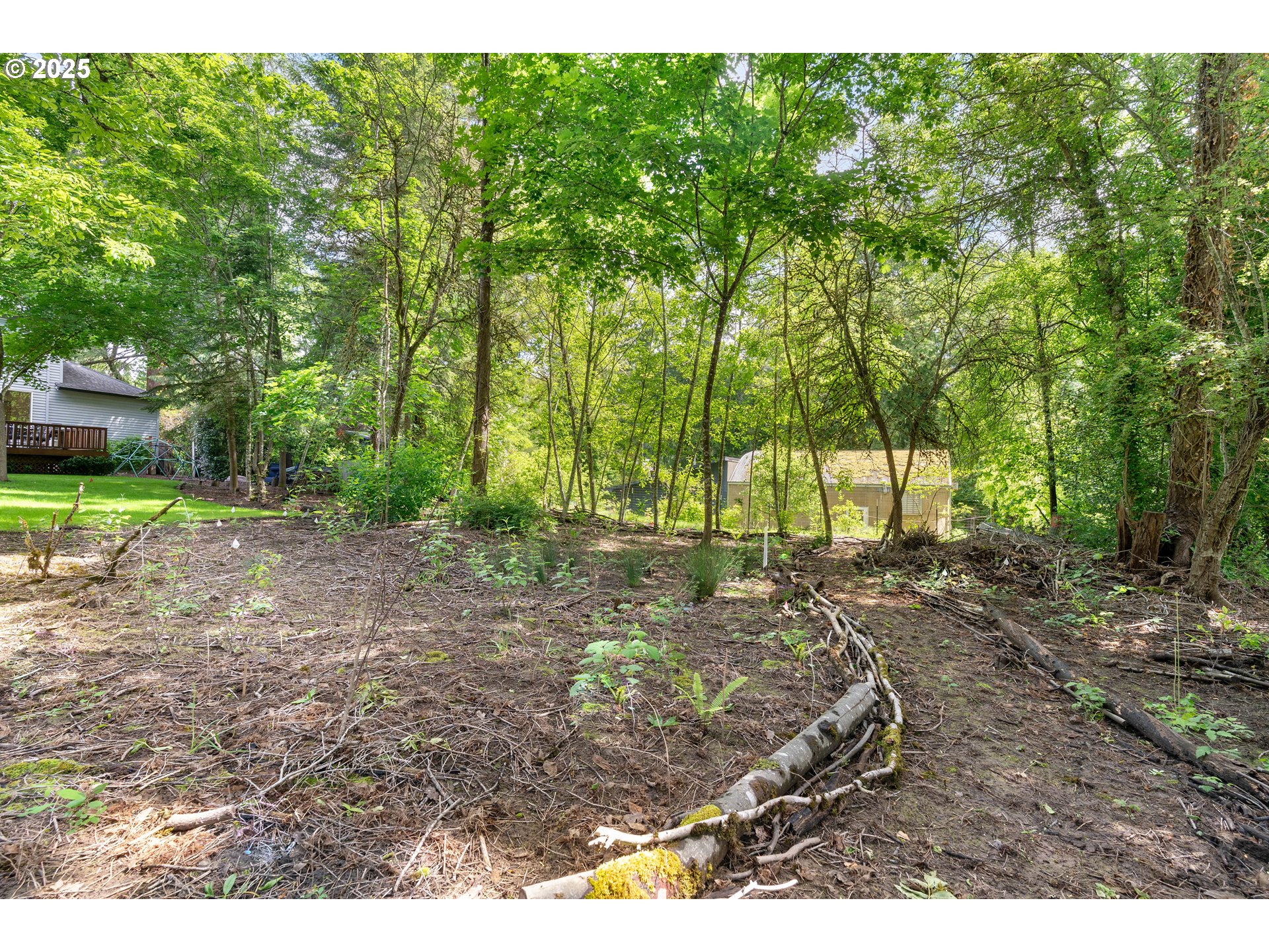 4014 Southwest 96th Avenue Portland, OR 97225 - Photo 47 of 48 a view of backyard with green space