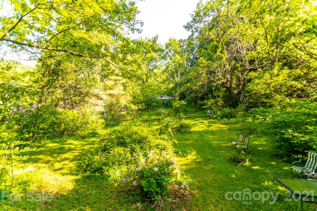 604 Fairview Road Asheville, NC 28803 - Photo 13 of 18 a view of a large trees