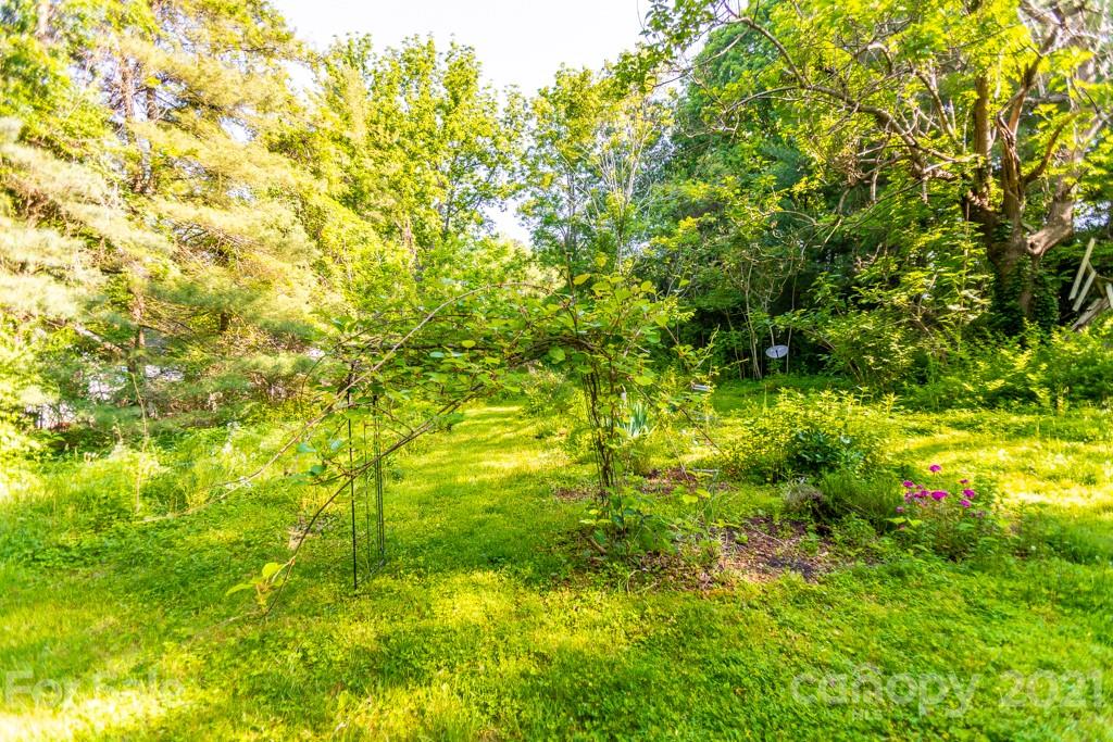 604 Fairview Road Asheville, NC 28803 - Photo 14 of 18 a view of yard with green space