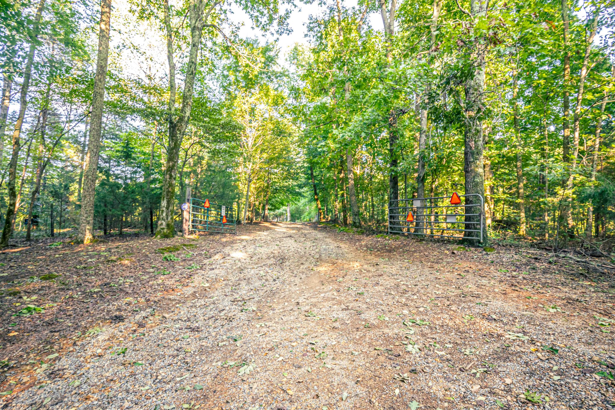 8781 Richards Road Lyles, TN 37098 - Photo 2 of 50 a view of a yard with large trees