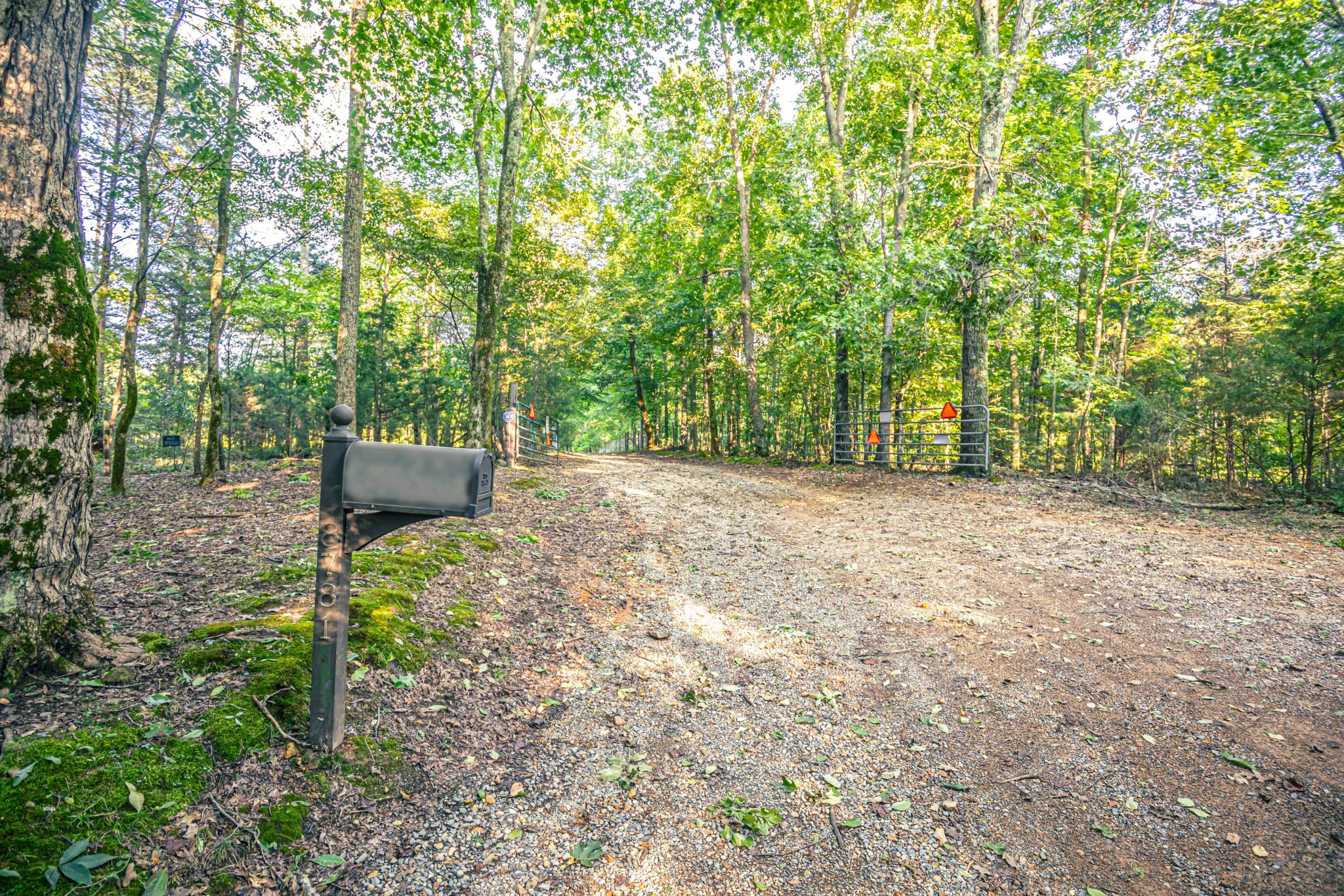 8781 Richards Road Lyles, TN 37098 - Photo 3 of 50 a view of an outdoor space and barbecue grill