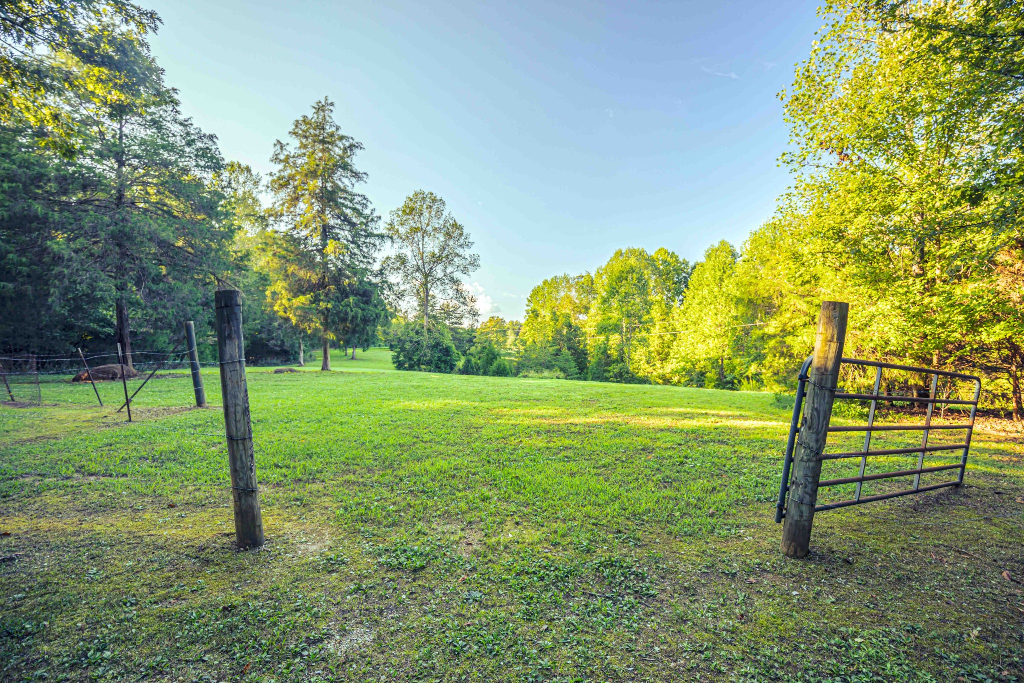 8781 Richards Road Lyles, TN 37098 - Photo 5 of 50 a view of a park with large trees