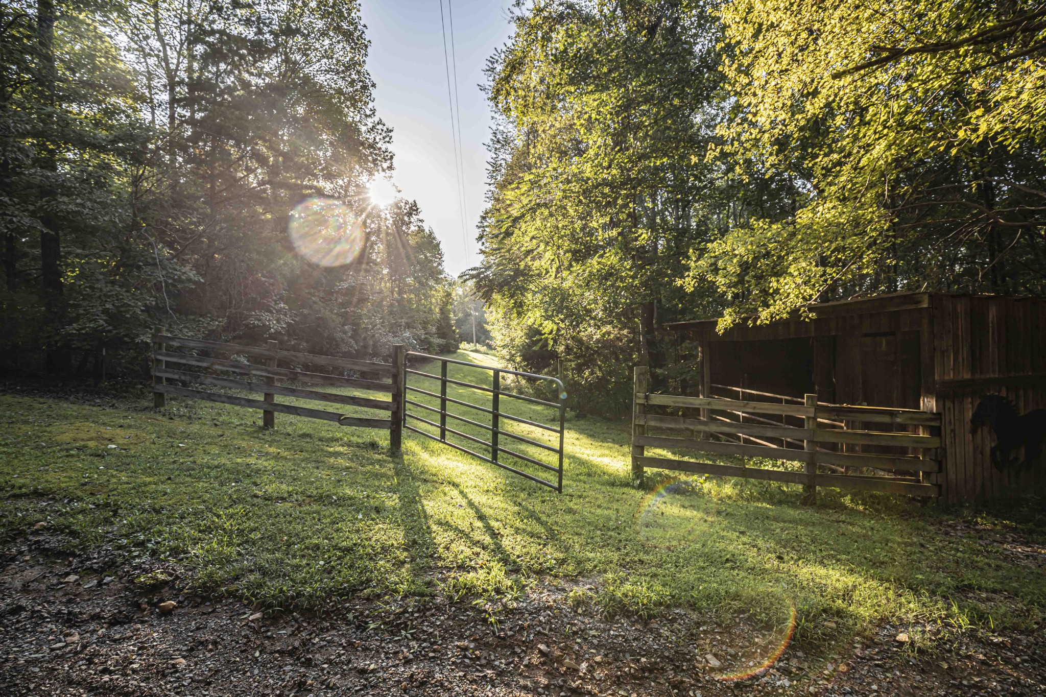 8781 Richards Road Lyles, TN 37098 - Photo 7 of 50 a view of a backyard