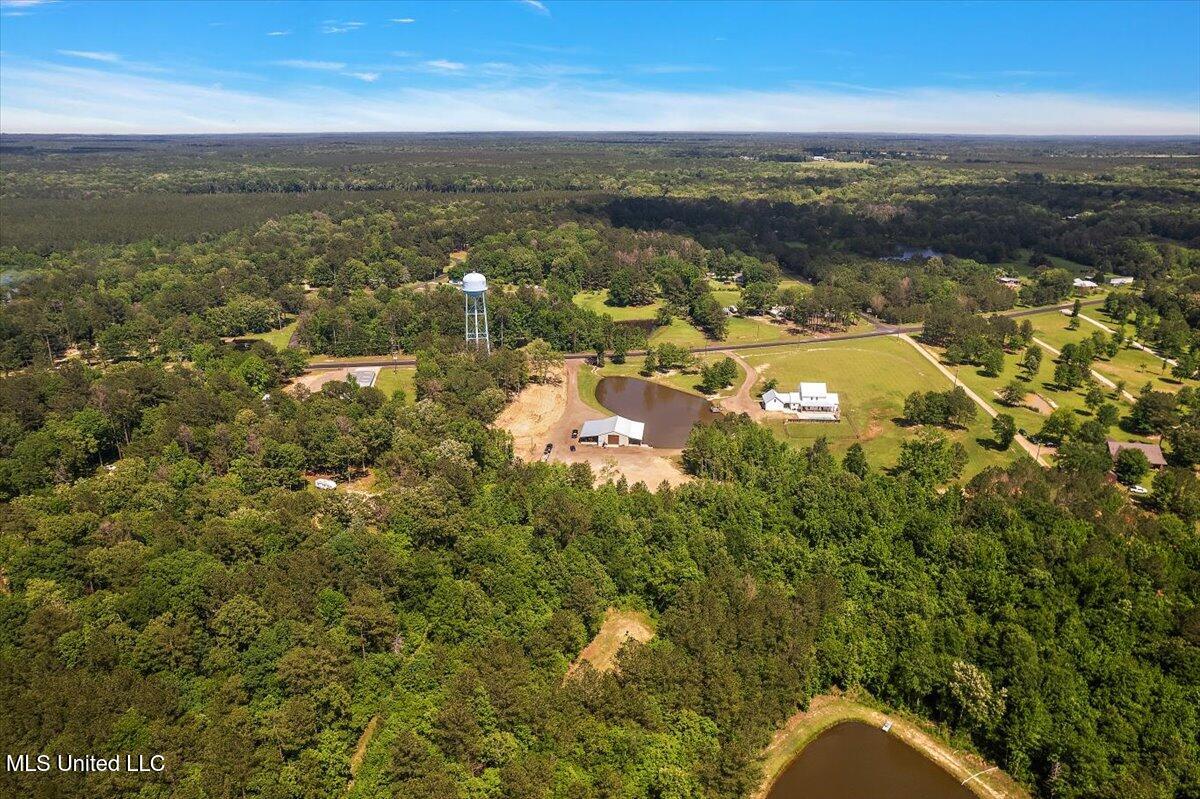 1254 Wade Patrick Road Brandon, MS 39042 - Photo 56 of 66 56-DJI_0747
