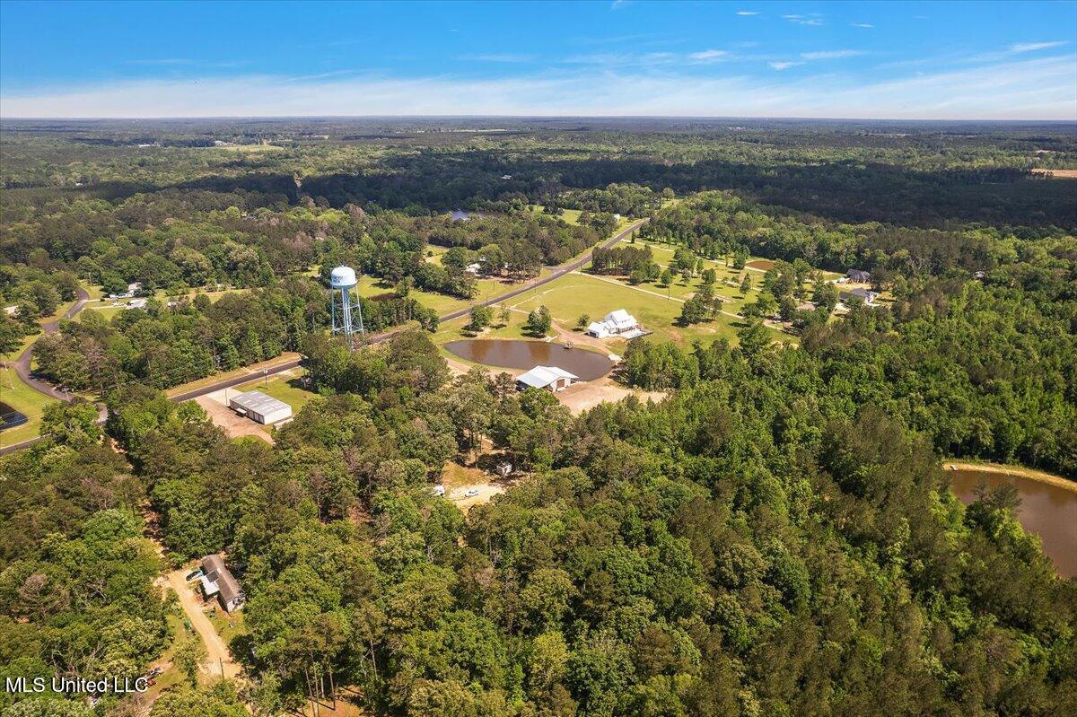 1254 Wade Patrick Road Brandon, MS 39042 - Photo 57 of 66 57-DJI_0750