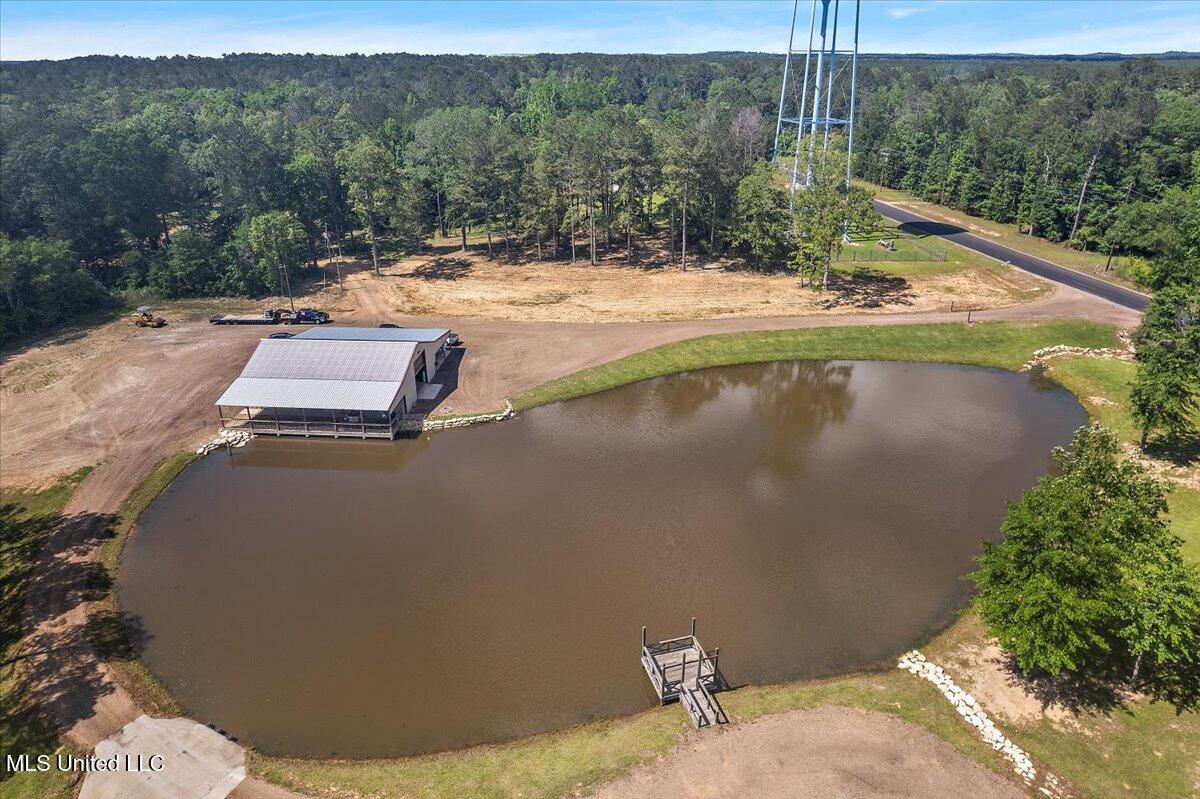 1254 Wade Patrick Road Brandon, MS 39042 - Photo 65 of 66 65-DJI_0778