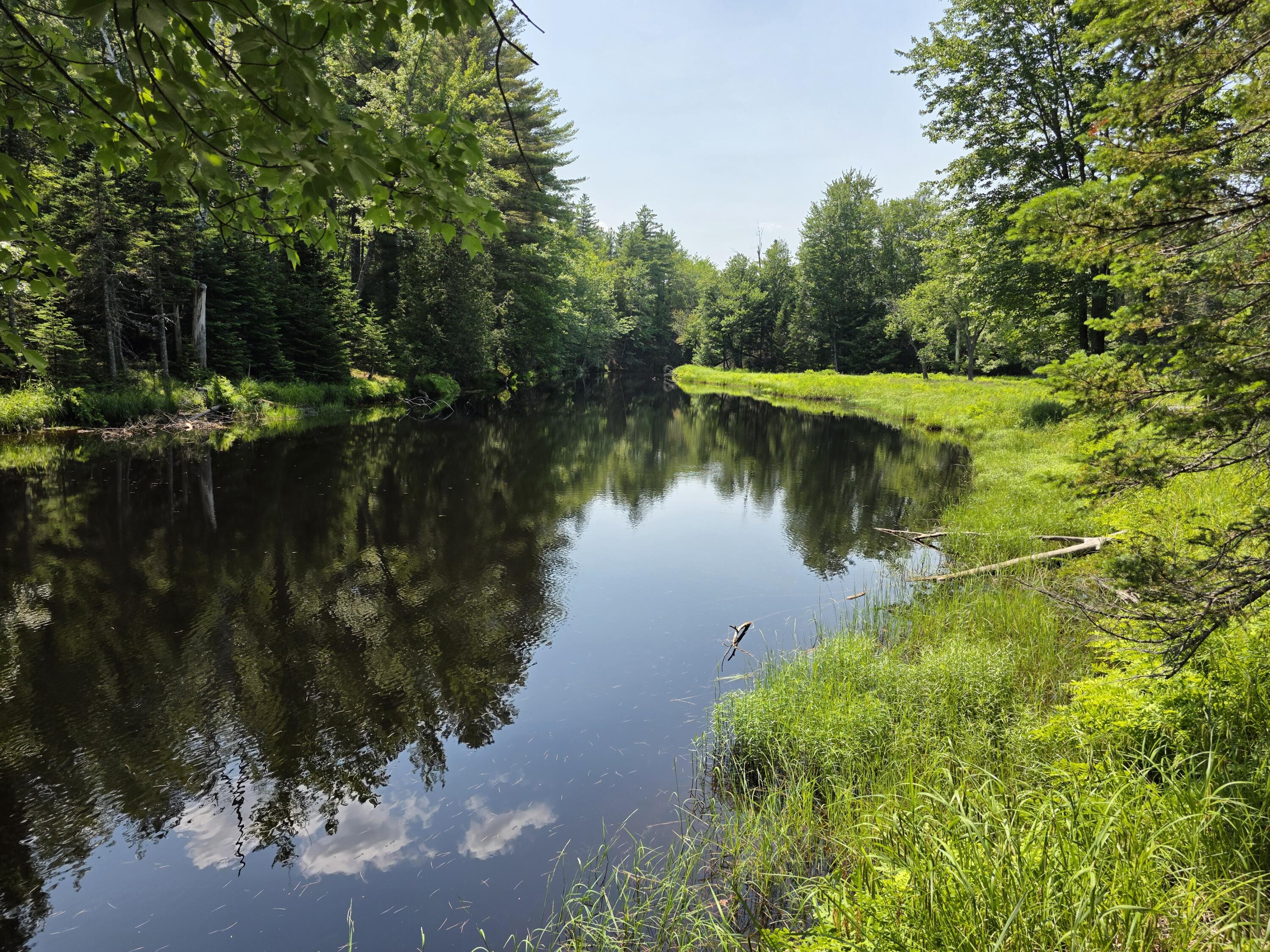 0 Brown Road Searsmont, ME 04973 - Photo 9 of 14 1000033542