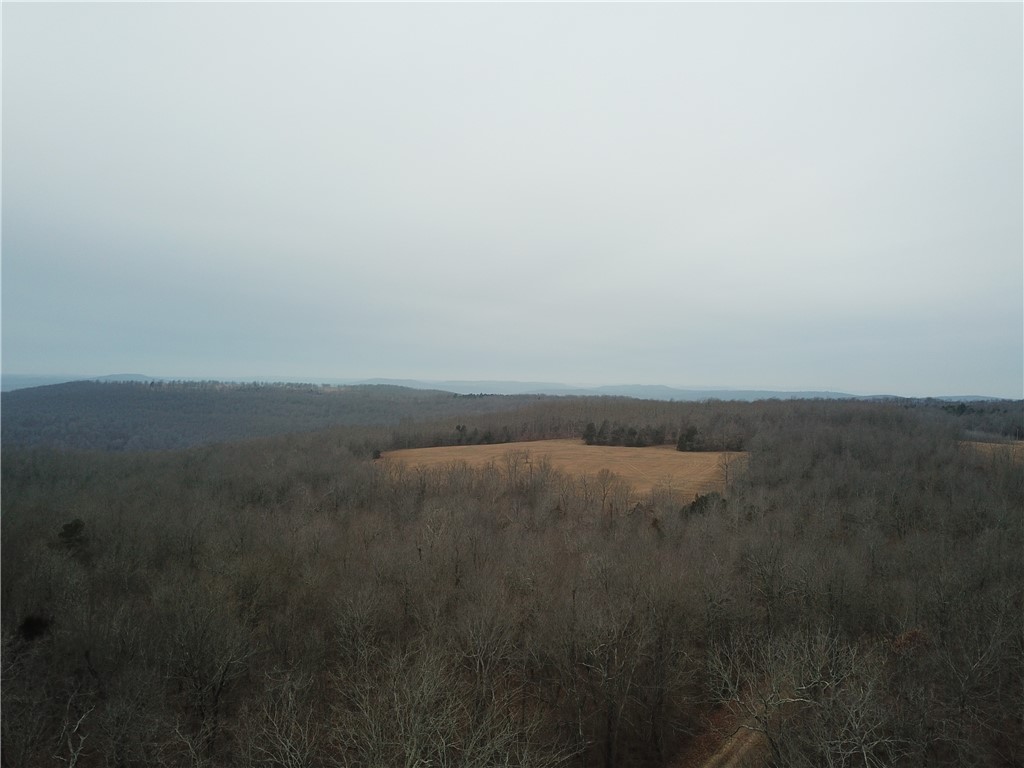 Liberty Road Leslie, AR 72645 - Photo 15 of 25 Gallery Image 15