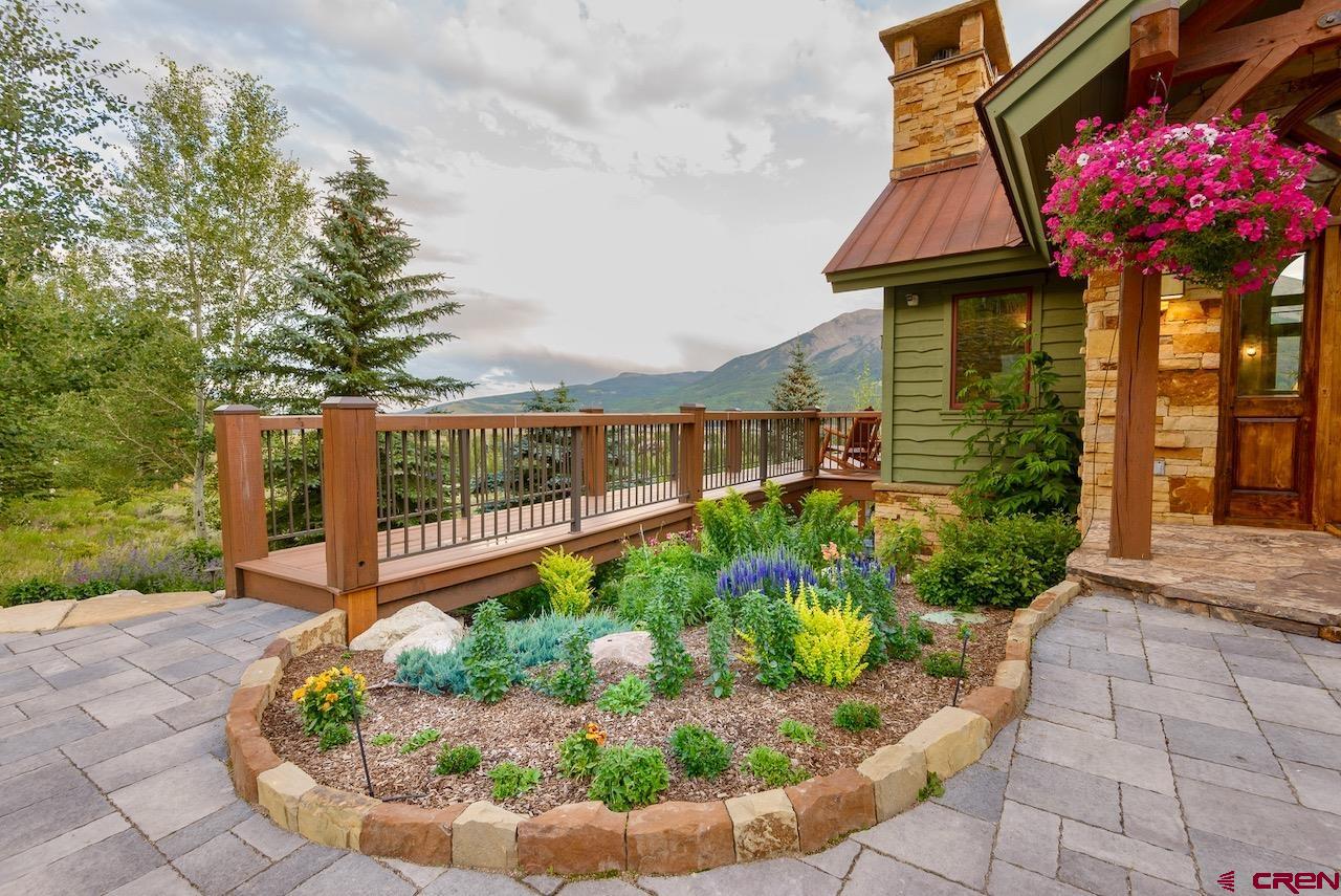 a view of a garden with flower plants