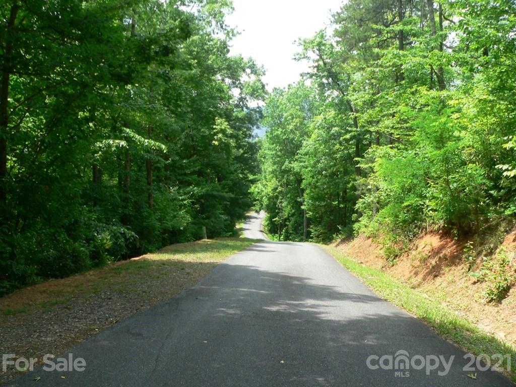 67 Sliding Rock Road Sylva, NC 28779 - Photo 2 of 10 a view of a yard with a tree