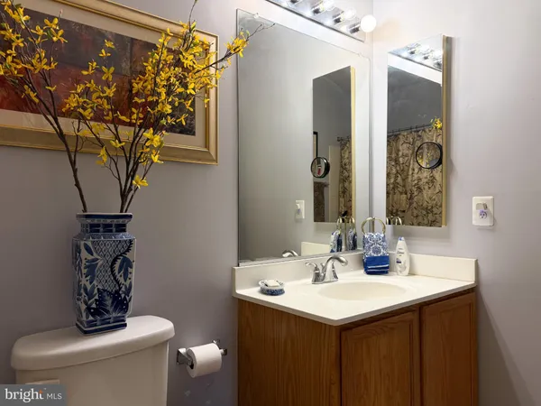 a white toilet sitting next to a shower curtain