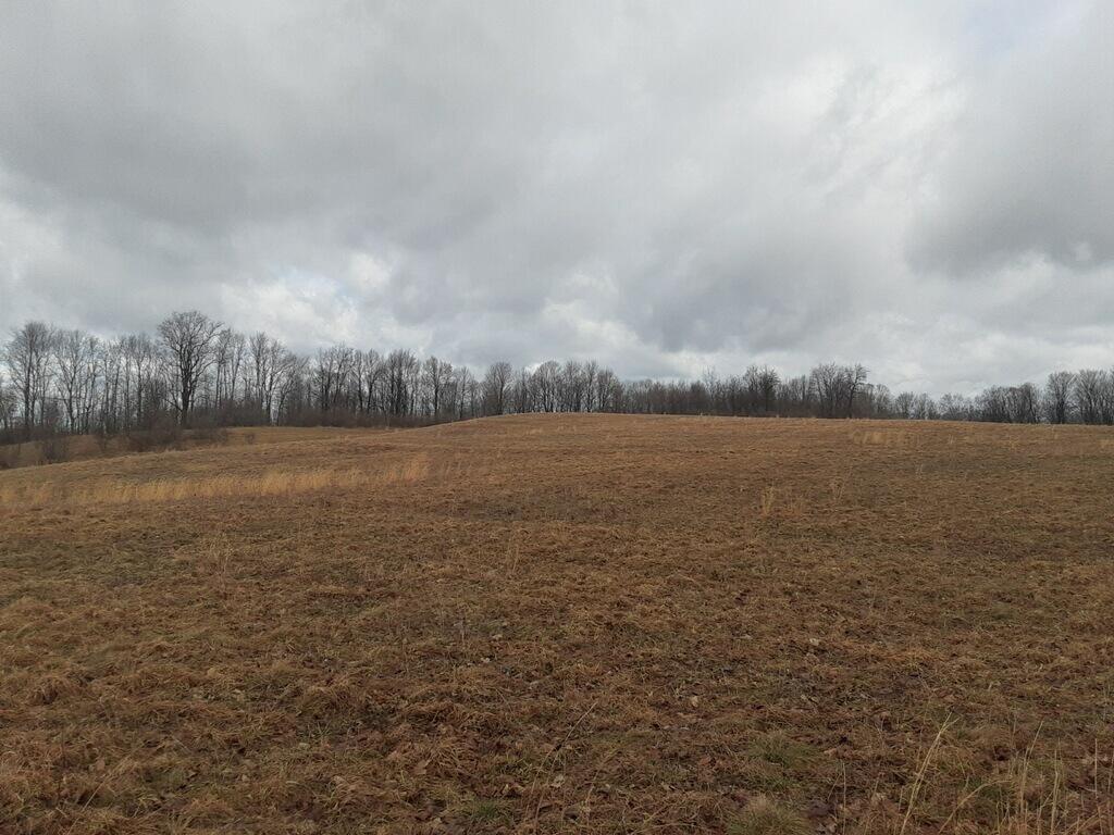 38-acres East Hazel Road Mears, MI 49436 - Photo 6 of 12