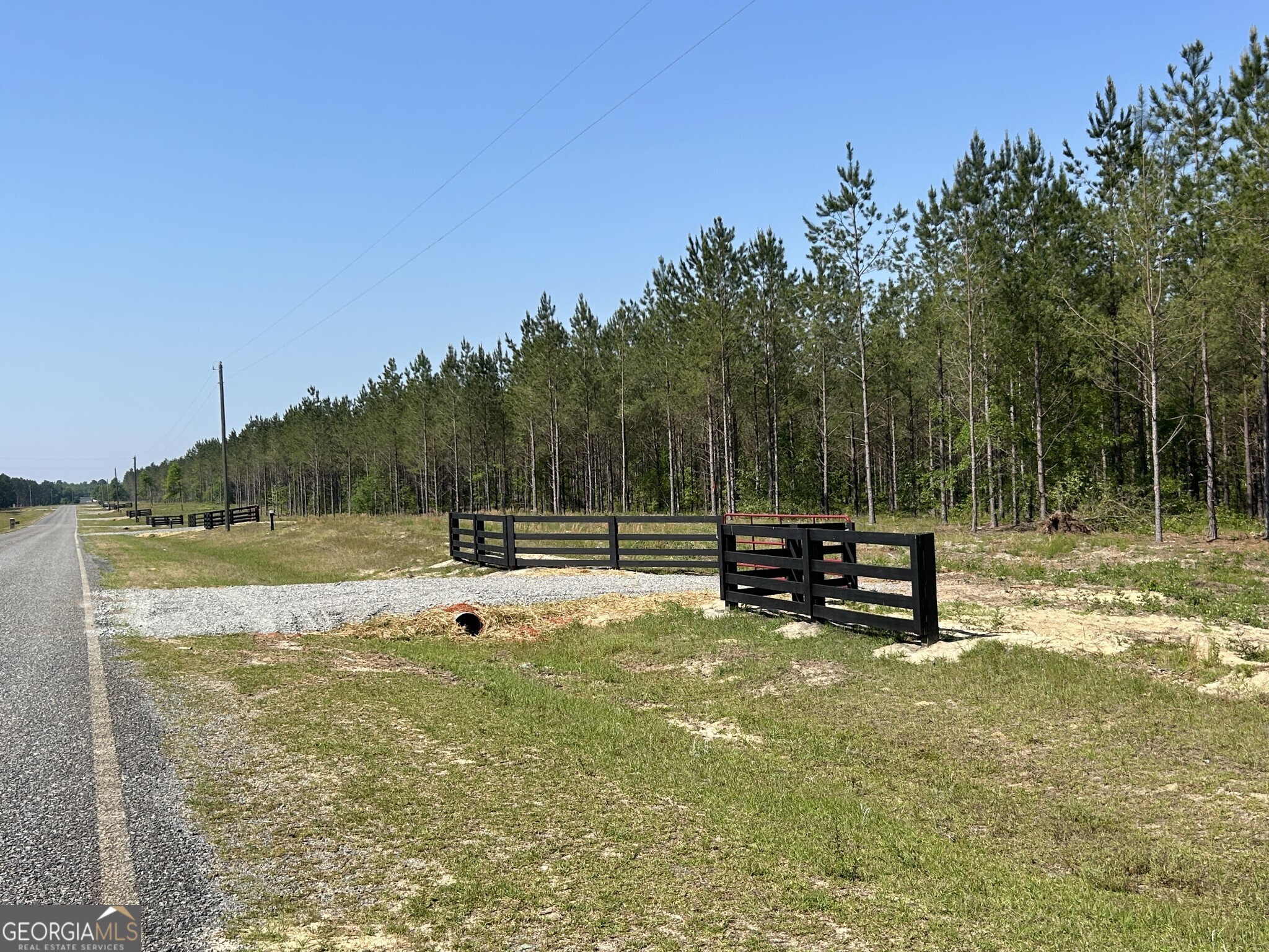 0 Dewey Thomas Road, Unit LOT 11 Dexter, GA 31019 - Photo 2 of 11 a view of a swimming pool with a bench and trees in the background