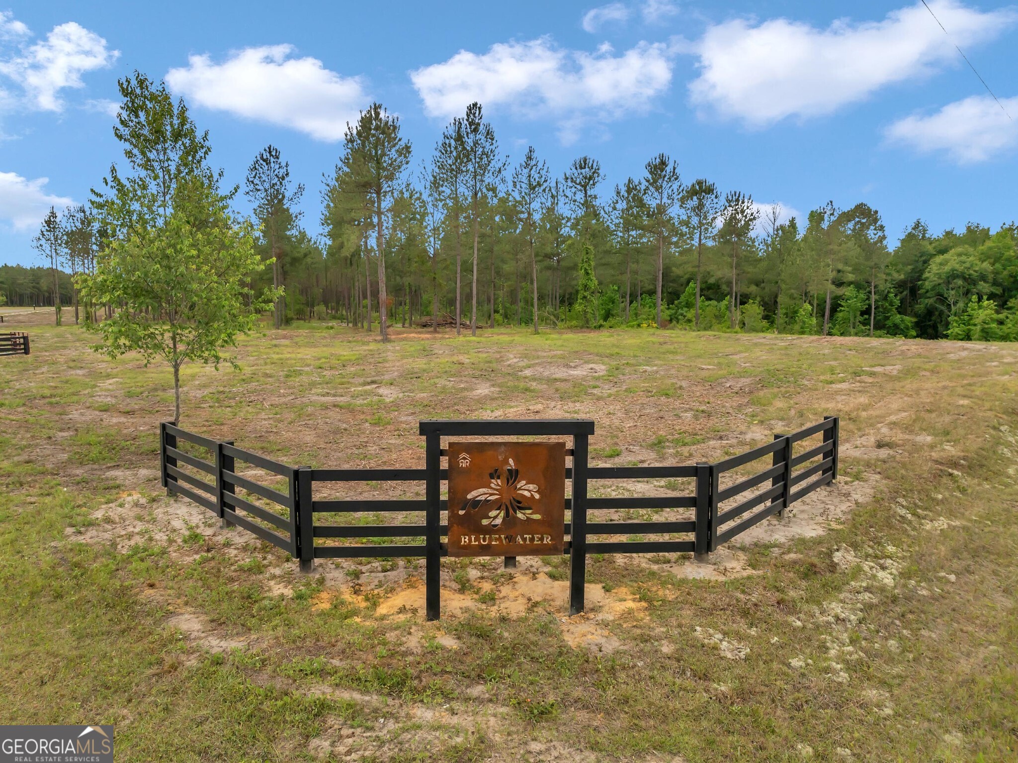0 Dewey Thomas Road, Unit LOT 11 Dexter, GA 31019 - Photo 4 of 11 a view of a bench in a backyard