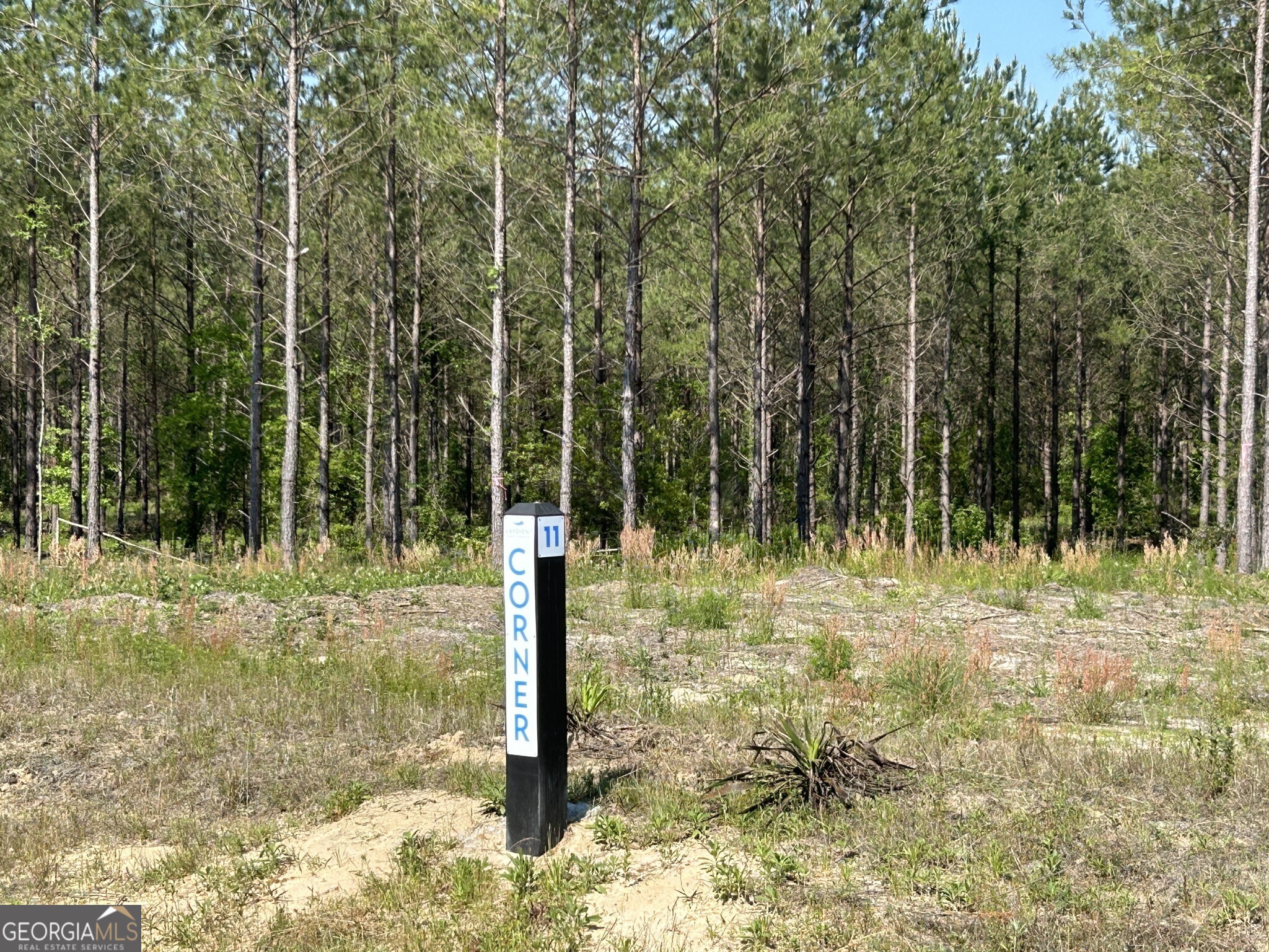 0 Dewey Thomas Road, Unit LOT 11 Dexter, GA 31019 - Photo 6 of 11 a backyard of a house with lots of green space