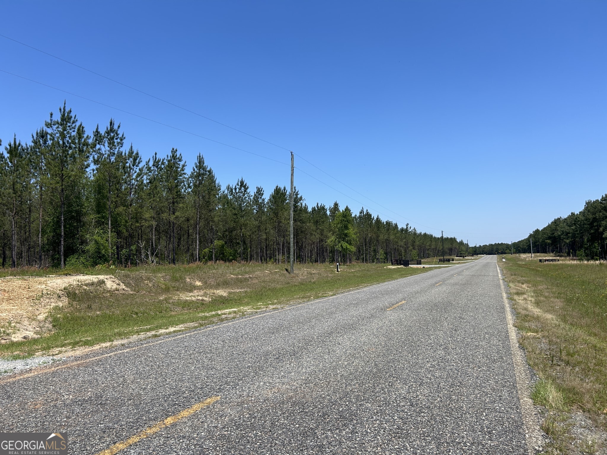 0 Dewey Thomas Road, Unit LOT 11 Dexter, GA 31019 - Photo 10 of 11 a view of a lake with a big yard