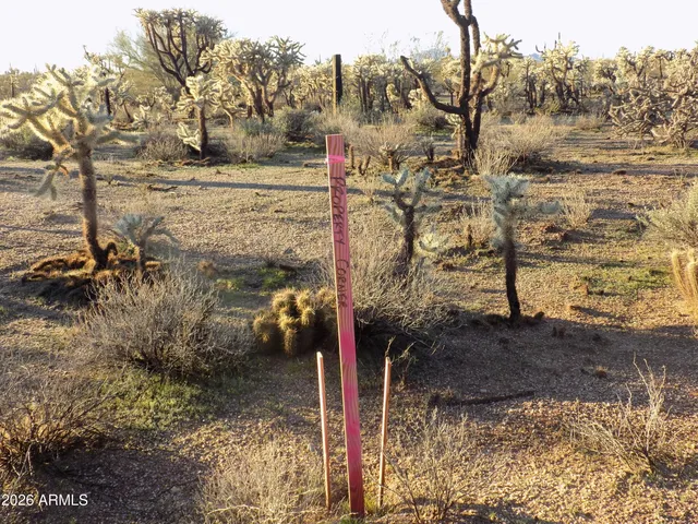 $129,000 | Tbd East Cactus Forest Road, Florence, AZ 85132