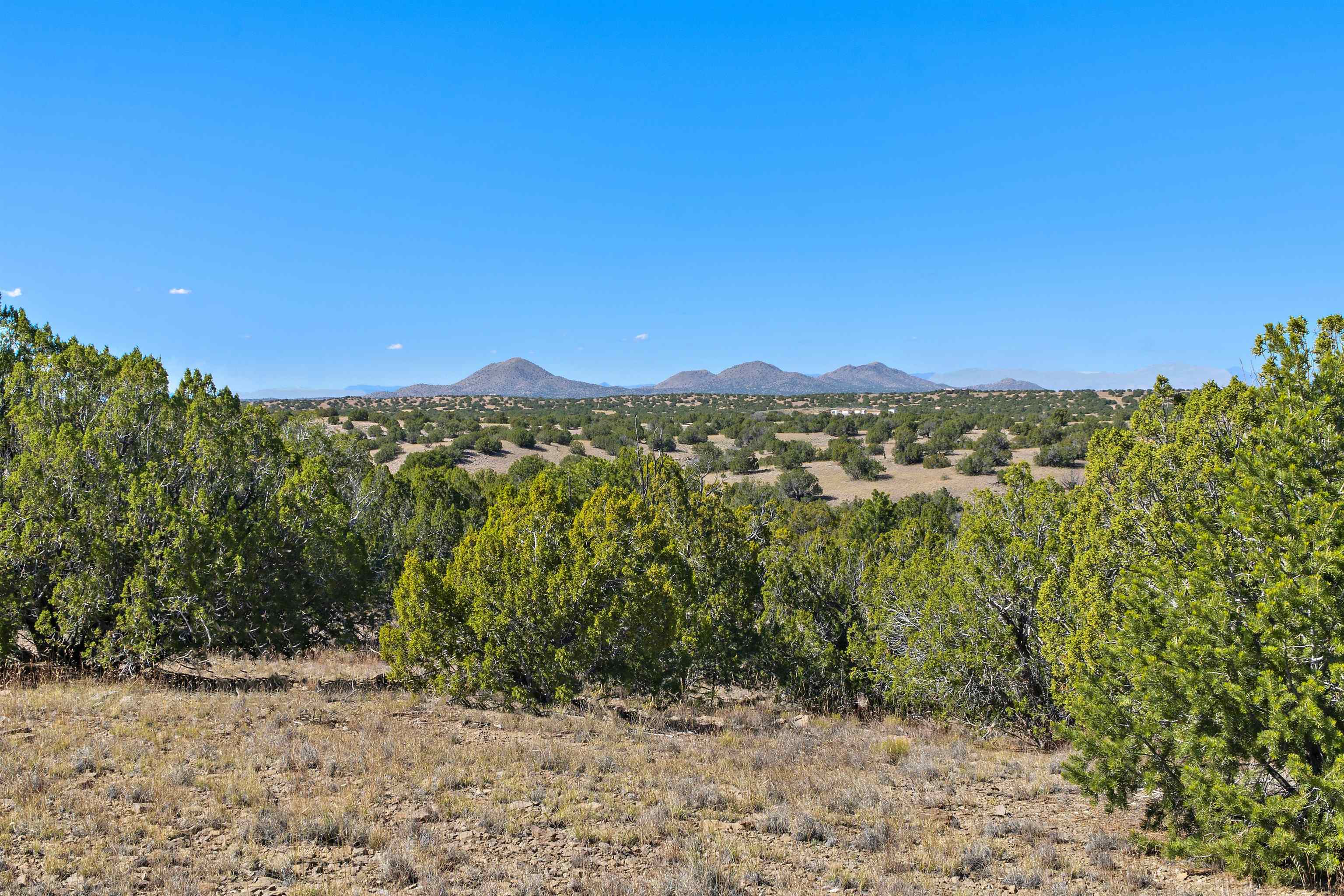 84 West Basin Ridge Cerrillos, NM 87010 - Photo 17 of 25