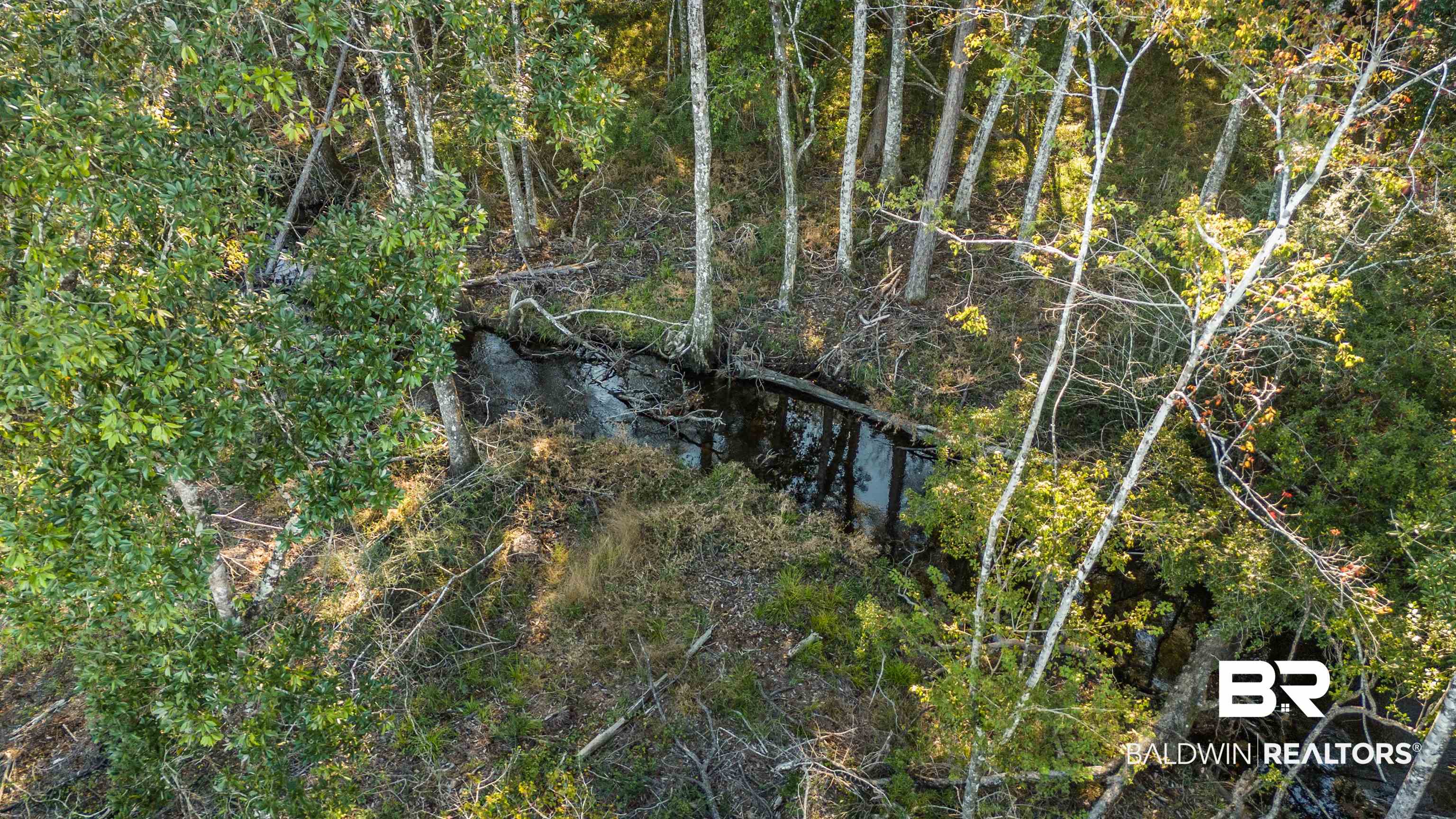 0 County Road 112 Robertsdale, AL 36567 - Photo 27 of 33 View of landscape