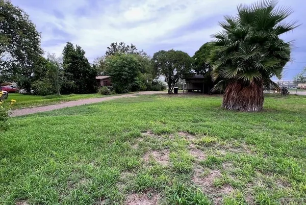 a view of field with tall trees