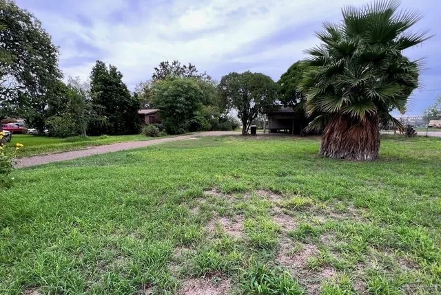 a view of field with tall trees