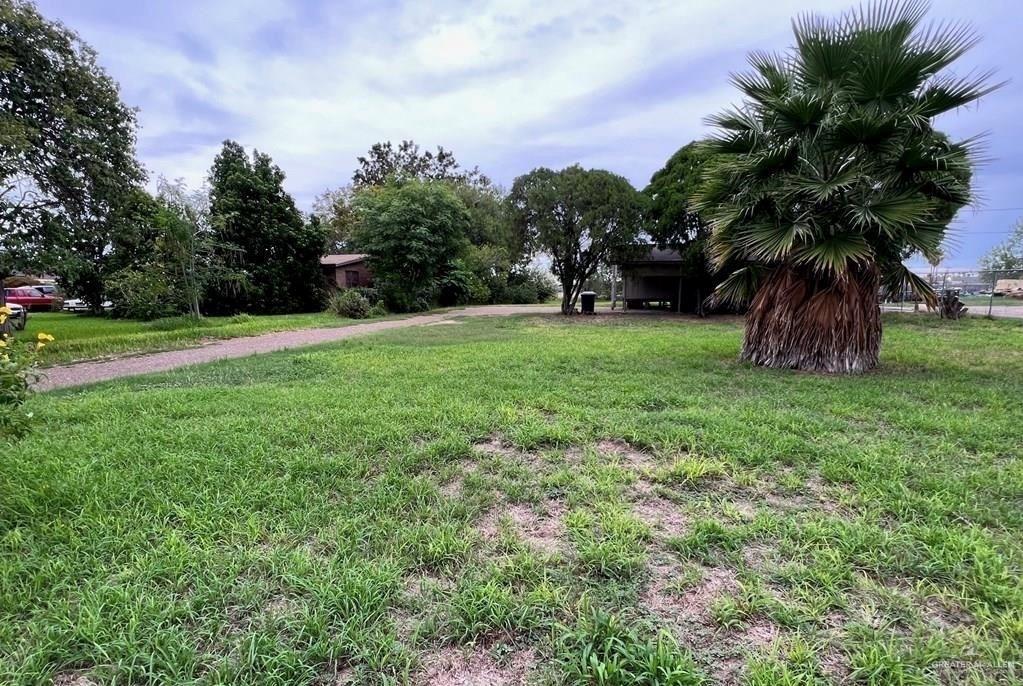 a view of field with tall trees