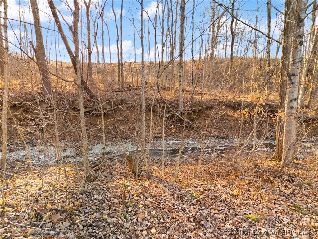 60 At Temple Road Salem, IN 47167 - Photo 5 of 18 Creek bank