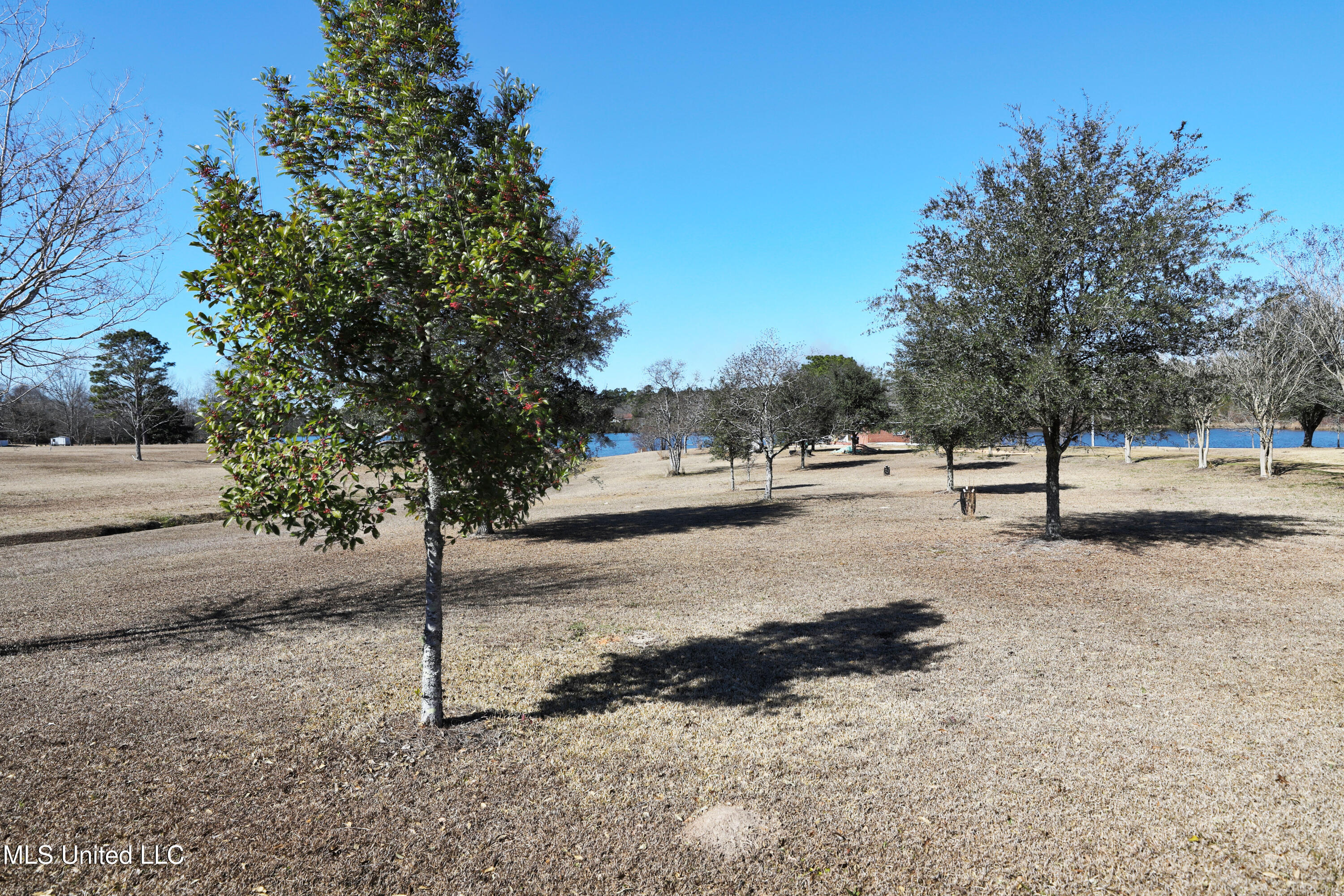 99 Hummingbird Drive Perkinston, MS 39573 - Photo 22 of 33 Front Yard