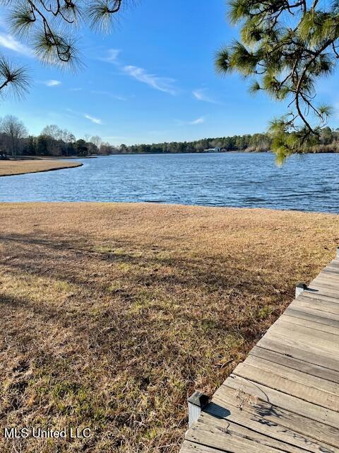 99 Hummingbird Drive Perkinston, MS 39573 - Photo 4 of 9 IMG_6815