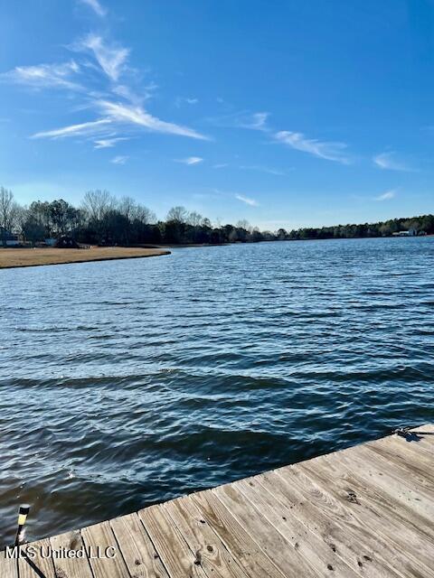 99 Hummingbird Drive Perkinston, MS 39573 - Photo 5 of 9 IMG_6817