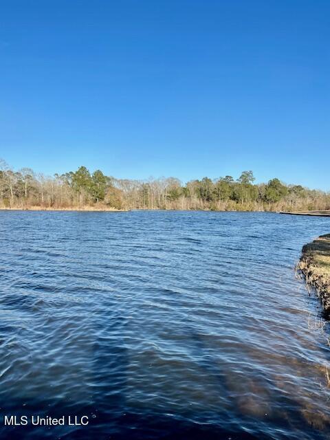 99 Hummingbird Drive Perkinston, MS 39573 - Photo 6 of 9 IMG_6816