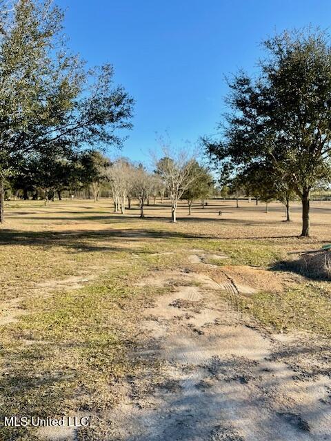 99 Hummingbird Drive Perkinston, MS 39573 - Photo 8 of 9 IMG_6821