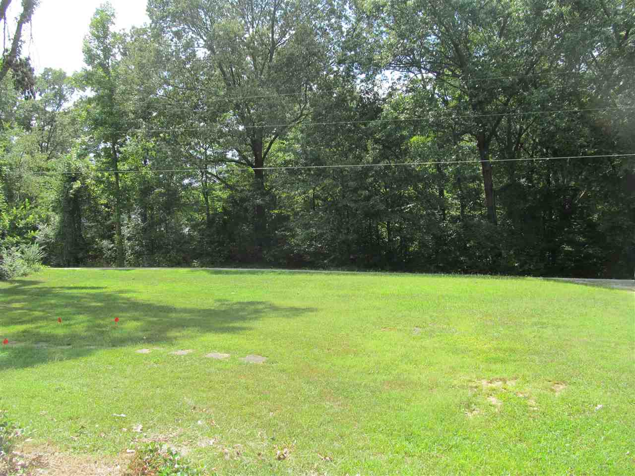 965 Walnut Bend Road Arlington, TN 38002 - Photo 25 of 25 Beautiful view from your front door