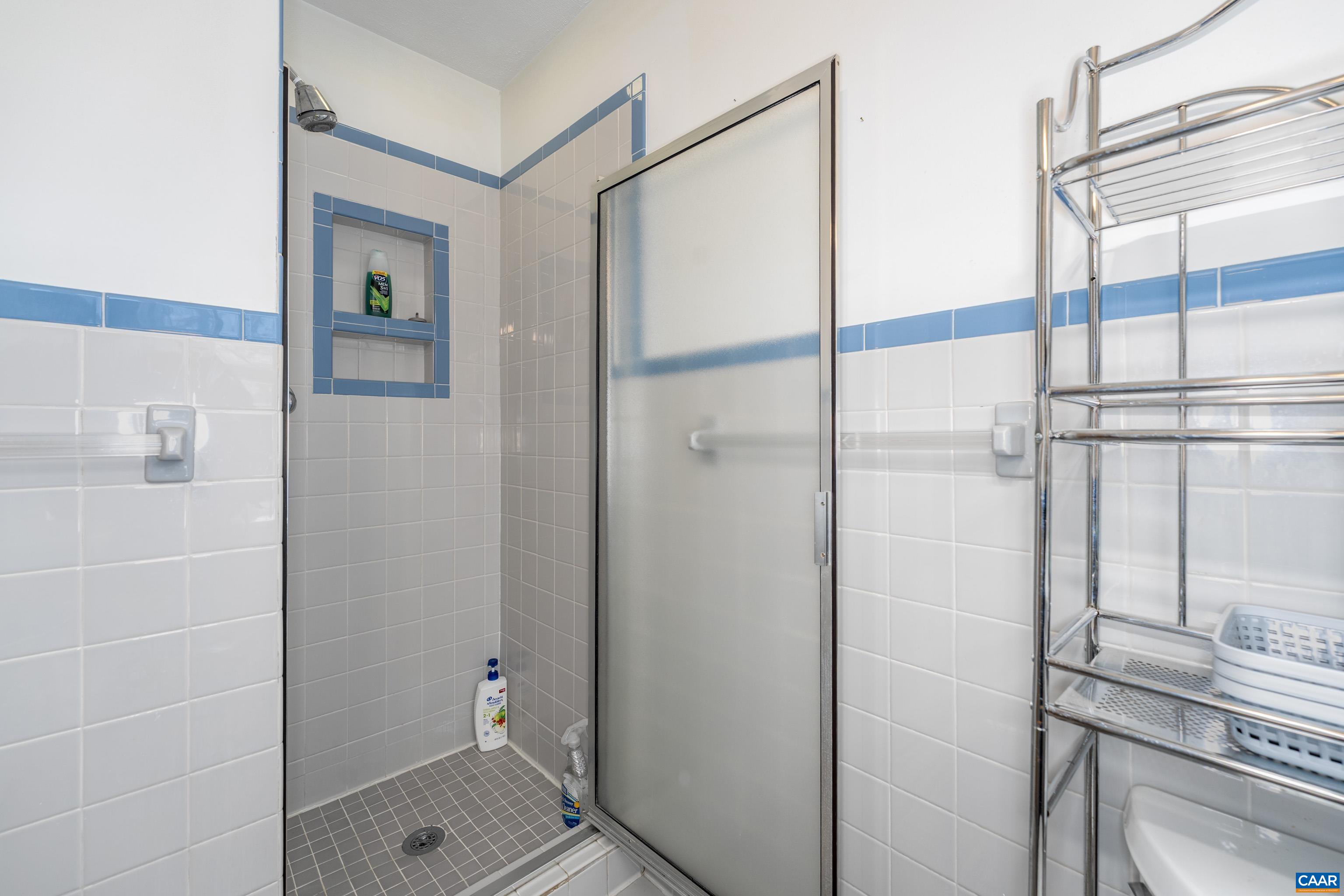 150 North Bennington Road Charlottesville, VA 22901 - Photo 18 of 35 master shower